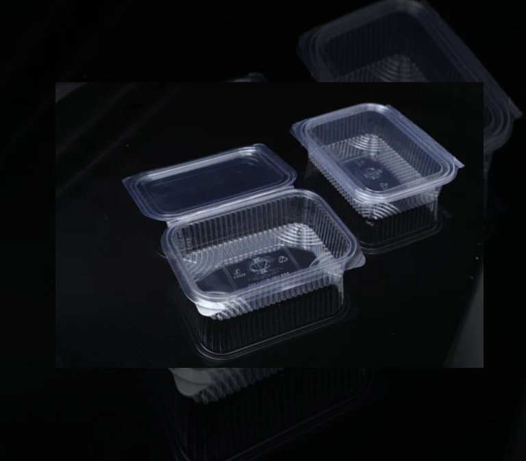 Hinked Container 150 Cc