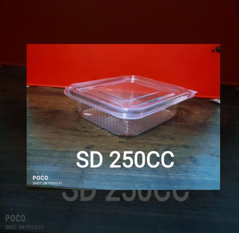 250CC HInged Container